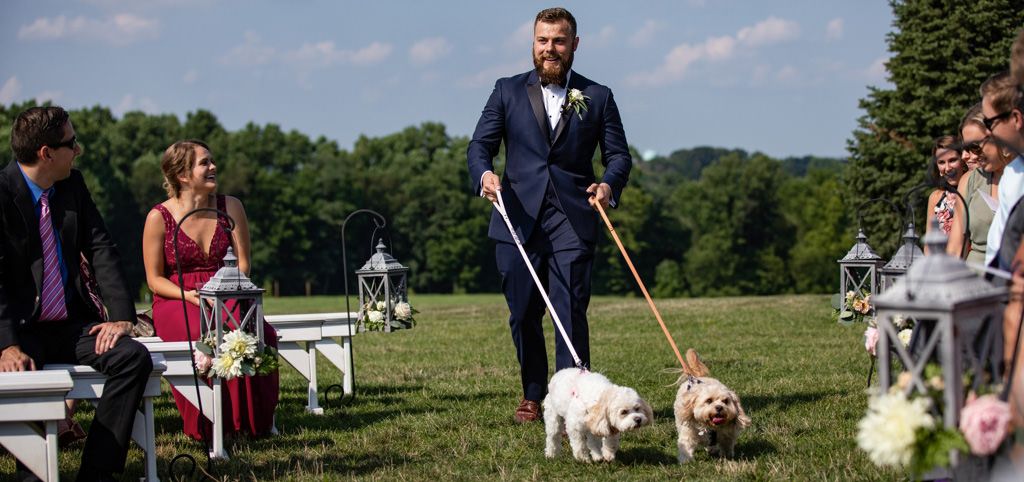 A groom walking down the aisle with their two small dogs. This really made it a non-traditional wedding ceremony